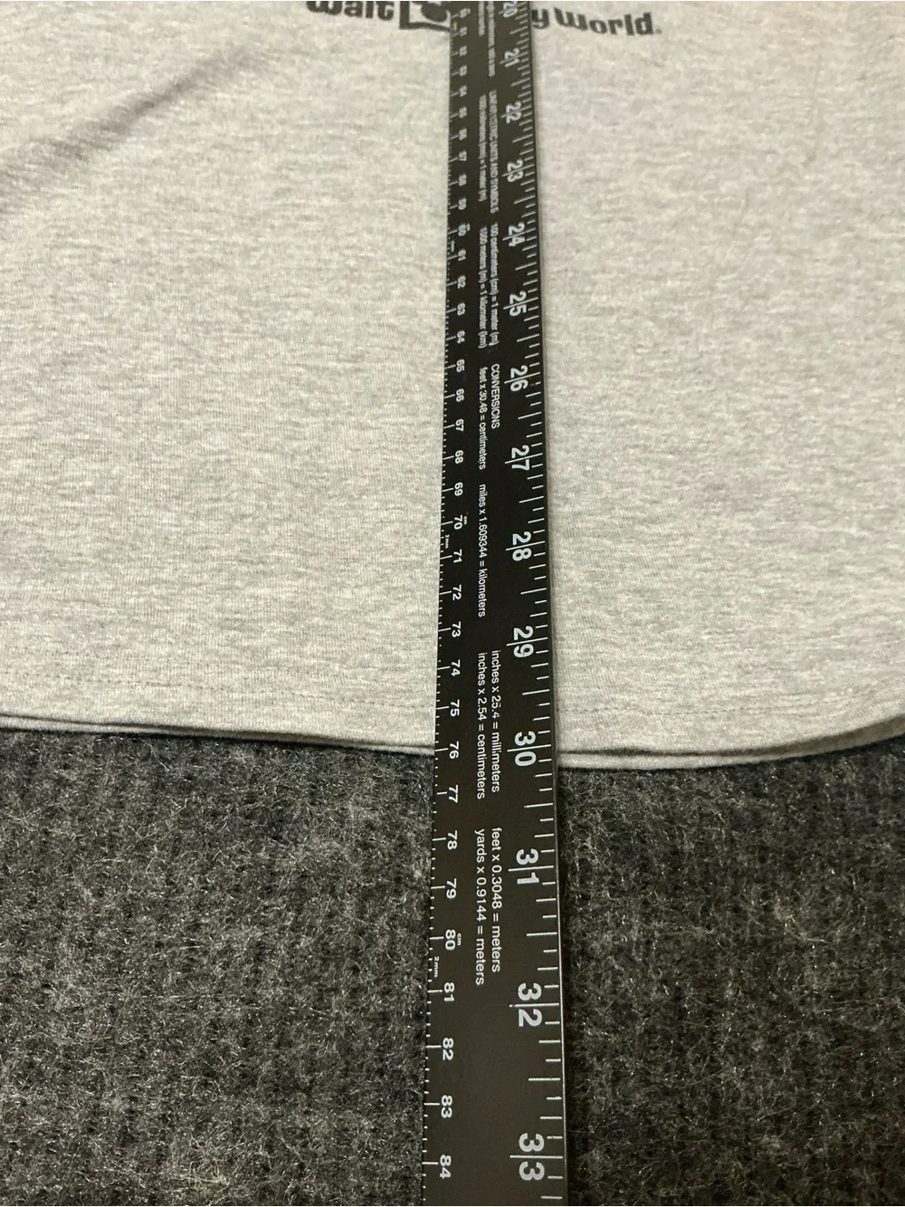 Hanes Disney Parks Gray Logo Crewneck Tee